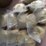 Buy 5CLADBA, BUY 6CLADBA, ADB-BUTINACA, 5FMDMB